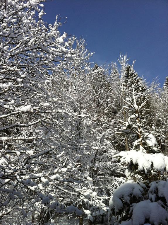 Chalet Ott - Apartment In The Mountains With Sauna Saint-Cergue Rom bilde