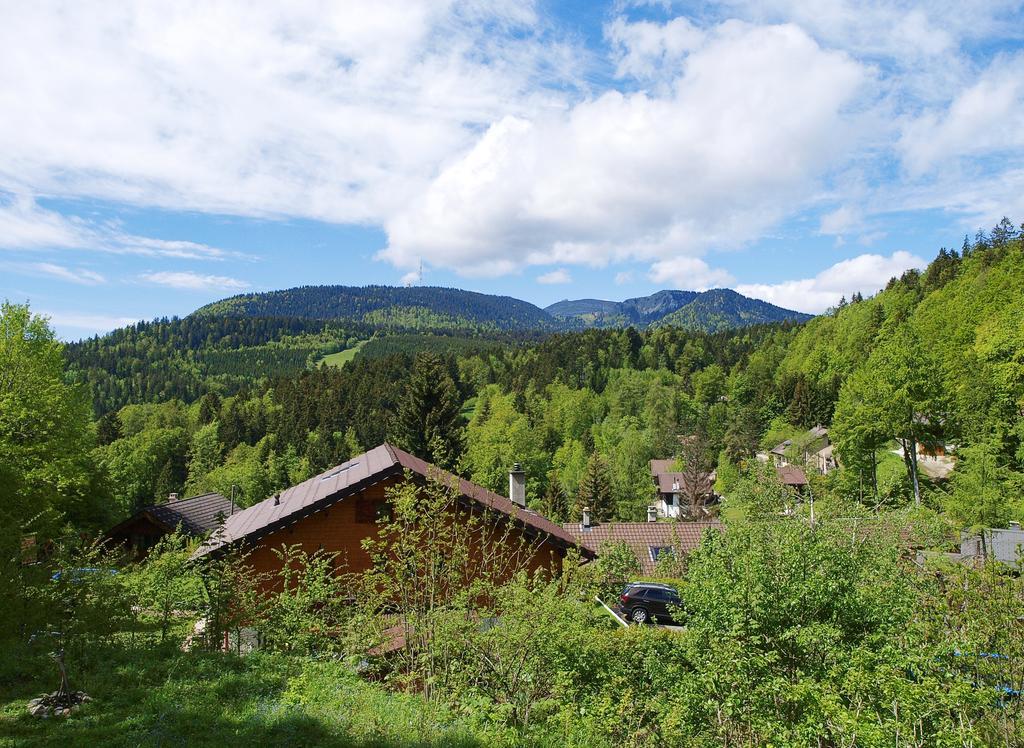Chalet Ott - Apartment In The Mountains With Sauna Saint-Cergue Rom bilde